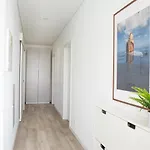 Premier Palaca Ground Floor, Walk To Reserve, Riberira D'iilas, Town Of Ribamar شقة Santo Isidoro