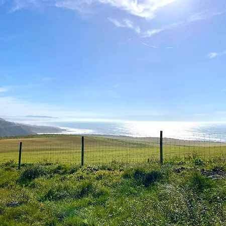 Premier Palaca - Ground Floor Only, Walk To Reserve & Town